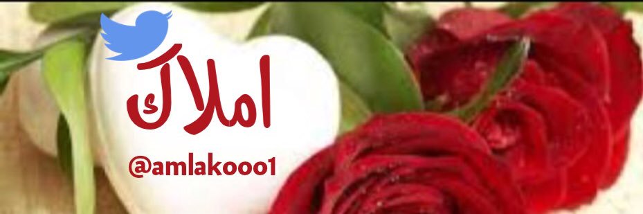 amlakooo1's profile banner image