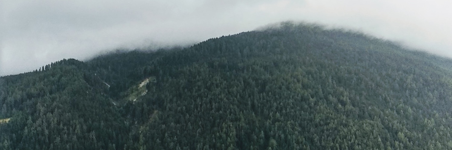 sshntt's profile banner image