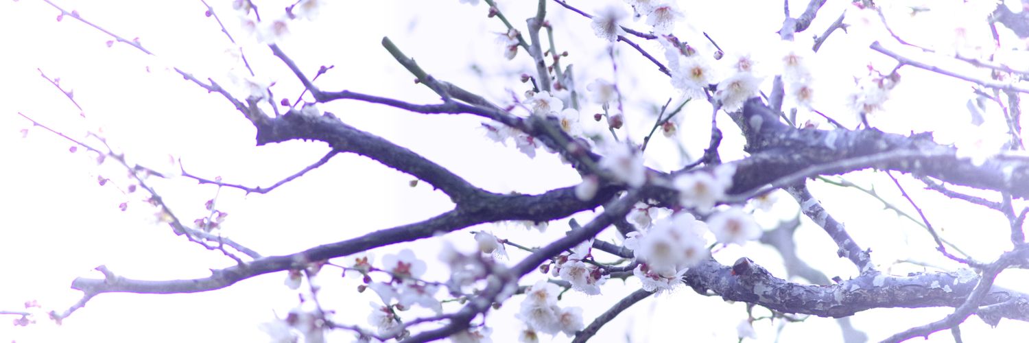 eraxmao's profile banner image