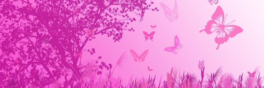 AyseHatunRT's profile banner image