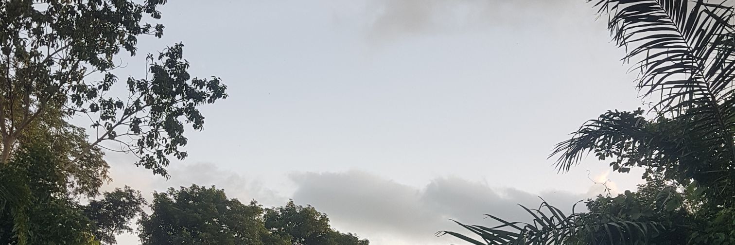MAGAFIGADAFI's profile banner image