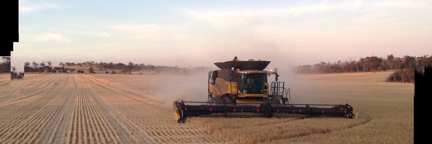 Kristin Lefroy 🐏🌾 banner