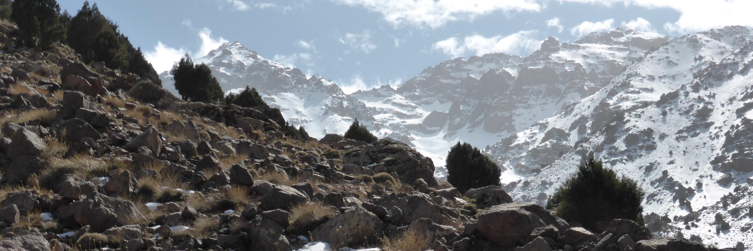 Tom Christian banner