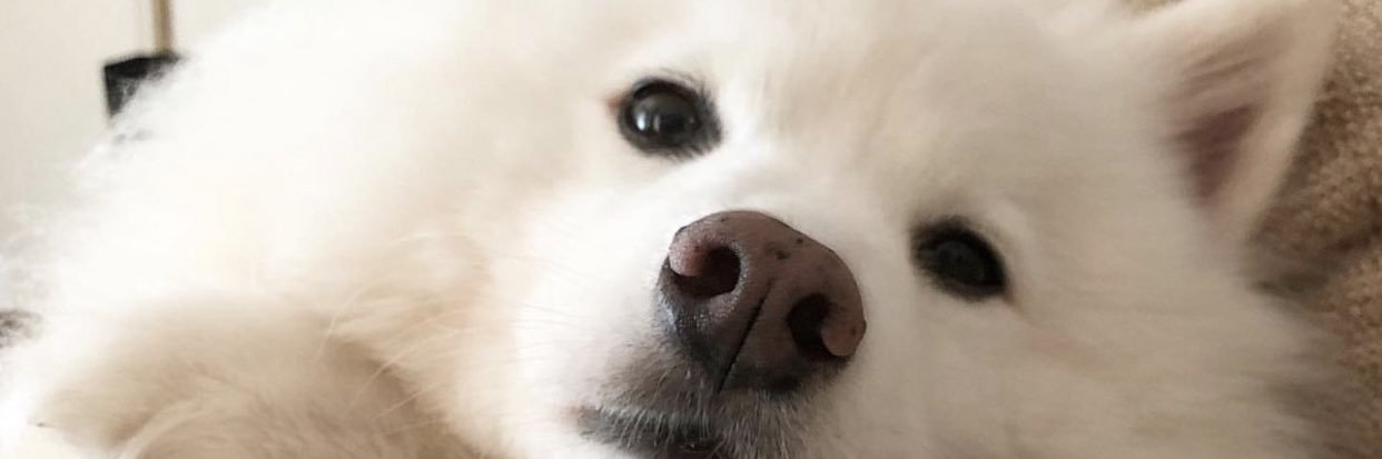 nnyrahctan's profile banner image