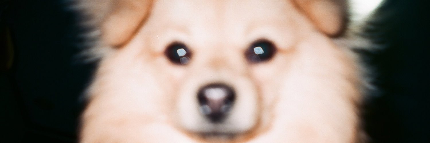 加村 真美 banner