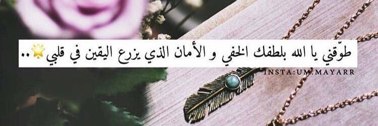 alkadi826's profile banner image