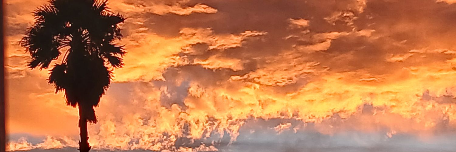 78_wor's profile banner image