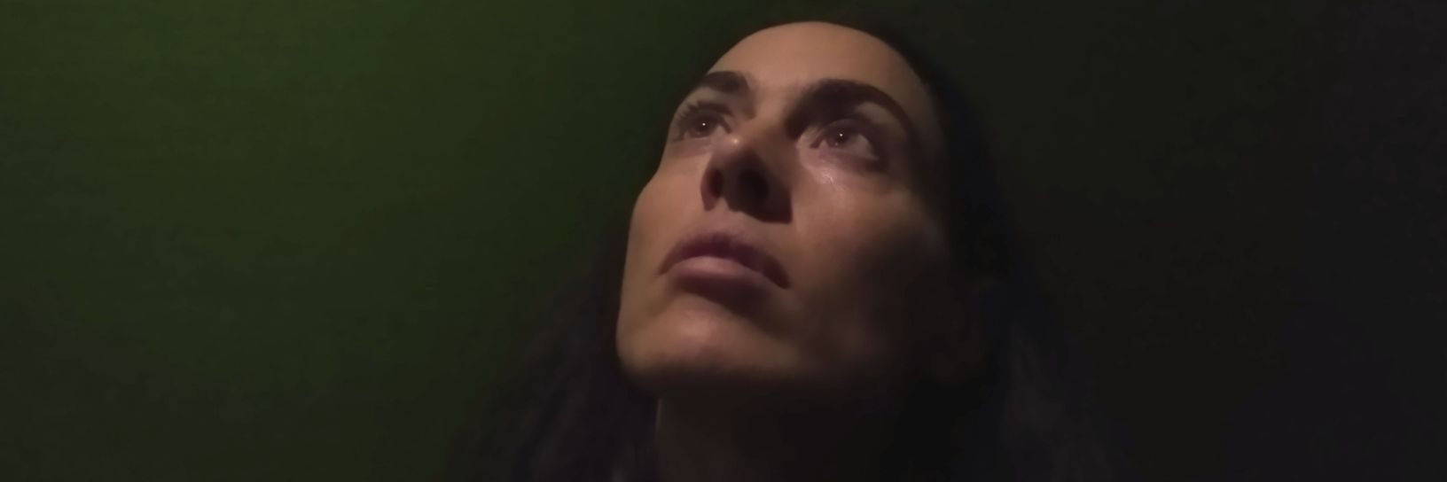 poloninadia's profile banner image