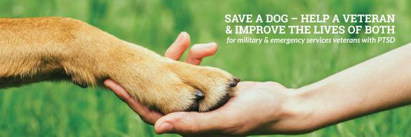 ServiceDogsUK Profile Banner