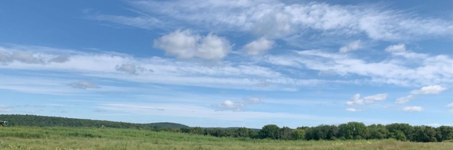jessiecolangelo's profile banner image