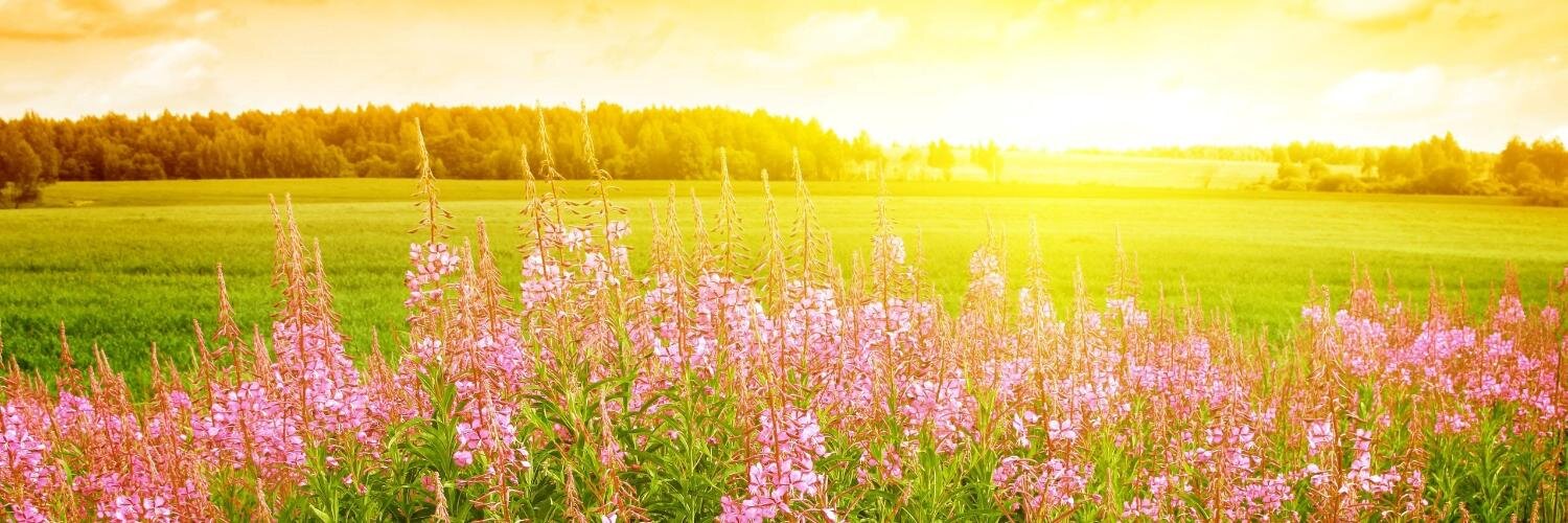 CometTown's profile banner image