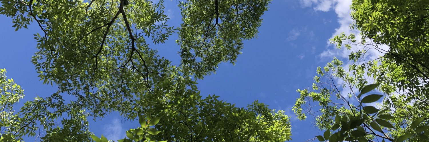 やちお banner