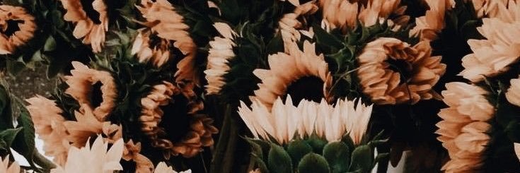 daddydigs_'s profile banner image
