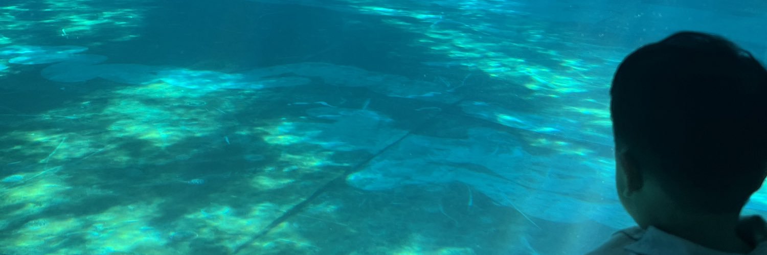 abbielabs's profile banner image