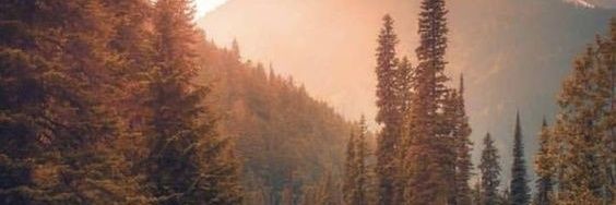 idksseni's profile banner image