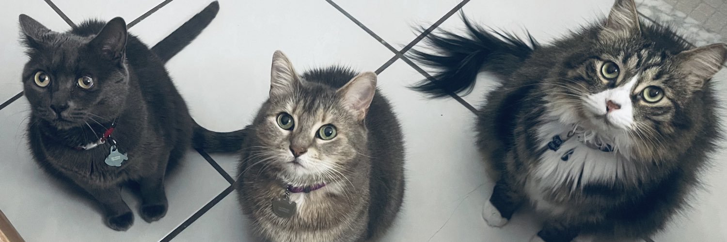 karinariosp's profile banner image