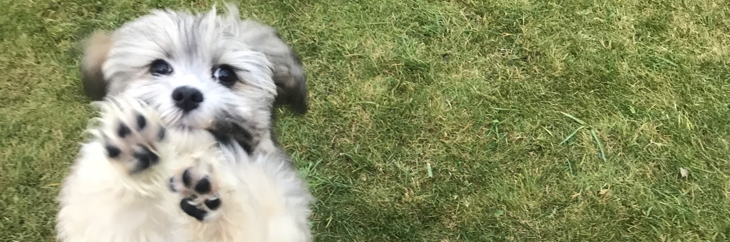 RebeccaSimx's profile banner image