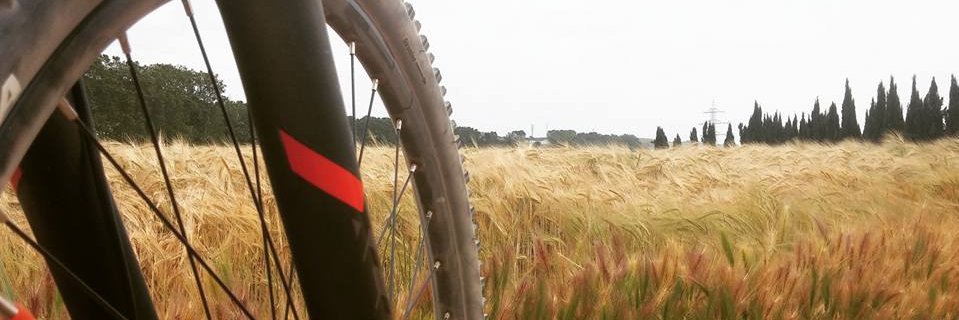 davidftrujillo's profile banner image