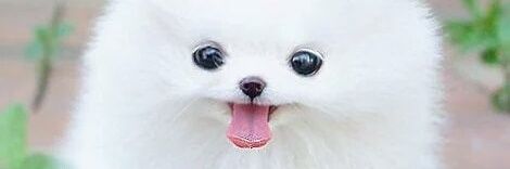 CompsciDave's profile banner image