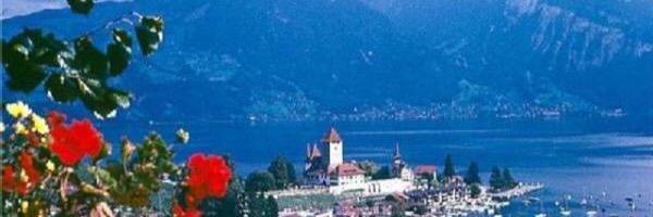 NAlmarsd's profile banner image