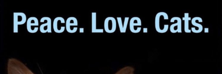 belise85's profile banner image