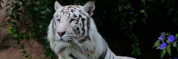 Fabrizio2210's profile banner image