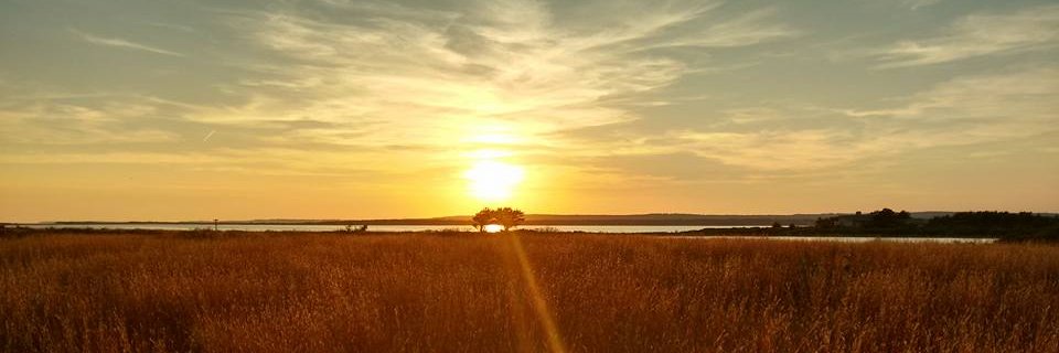 TheTrusteesMV's profile banner image
