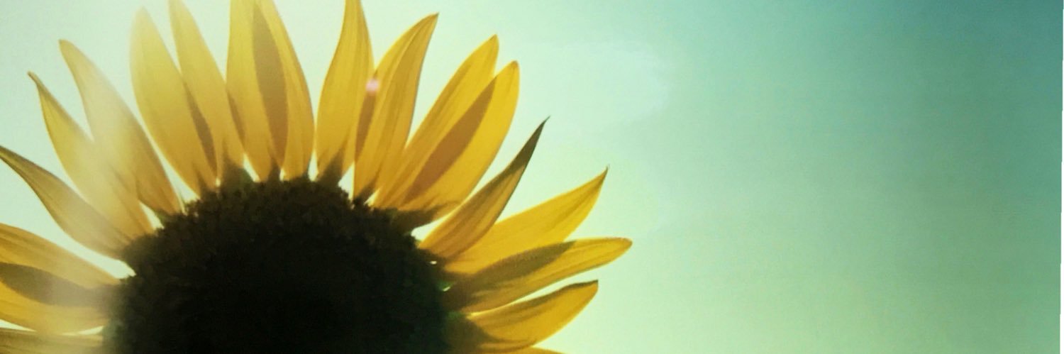 kinako2316's profile banner image