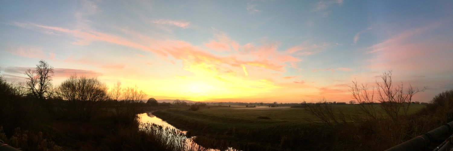 AliceFunnell's profile banner image