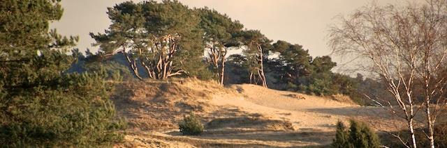 wisenttrail's profile banner image