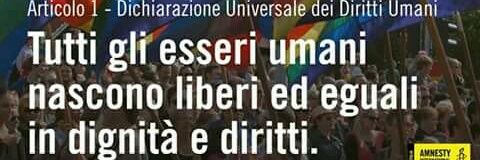 Luisa Selmi banner