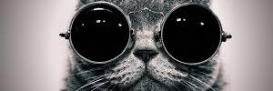 jefebauer's profile banner image