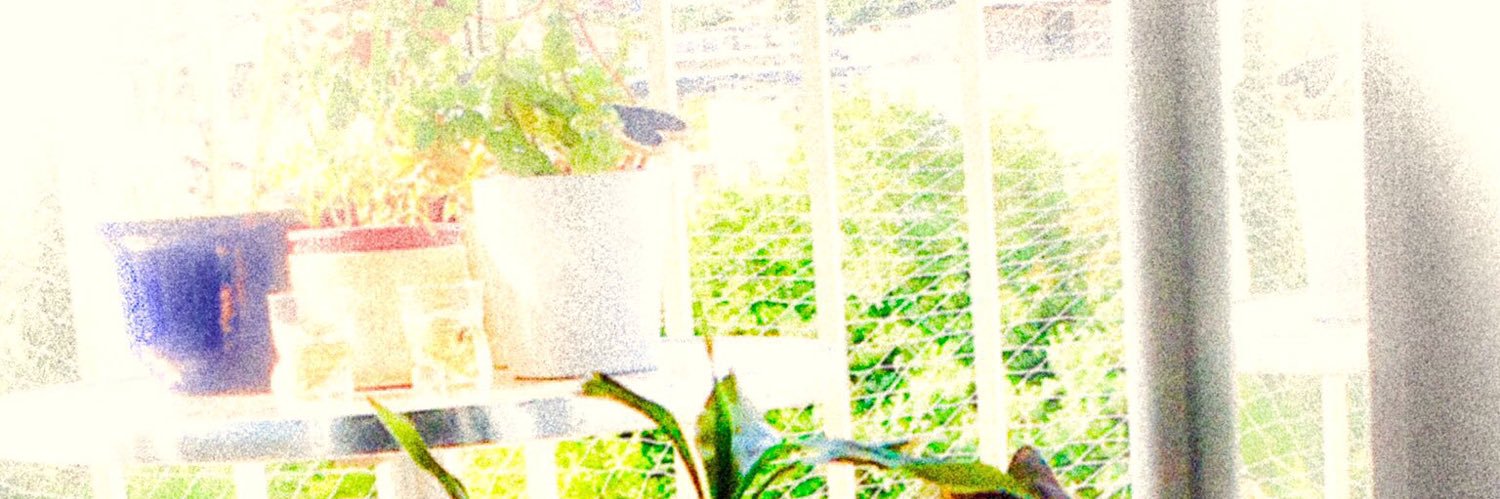 vertemme's profile banner image