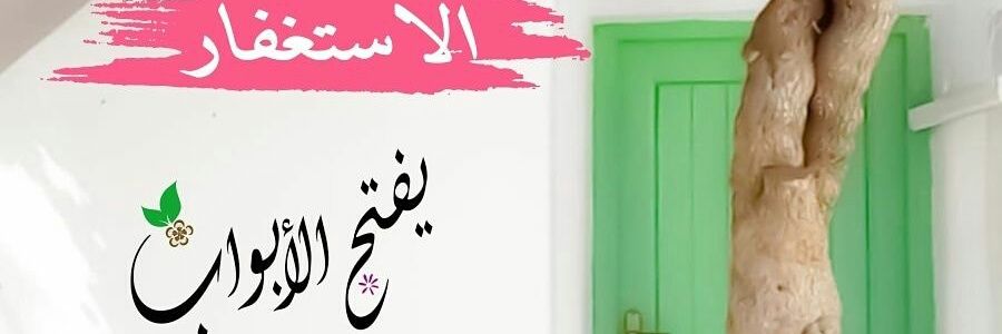 ham11_el's profile banner image