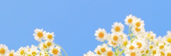 BeMeSmile's profile banner image