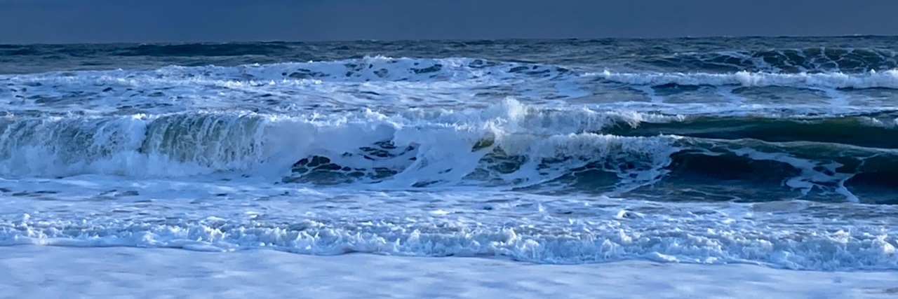 Rebecca Powell banner