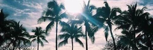 wenyi_0810's profile banner image