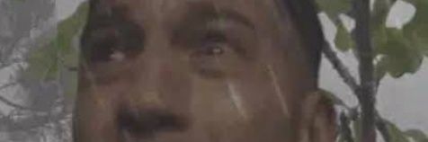 Nut !! banner
