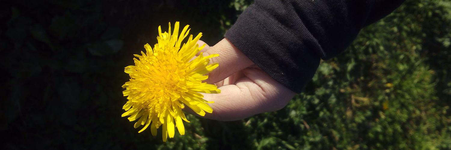 Bichilla_Y's profile banner image