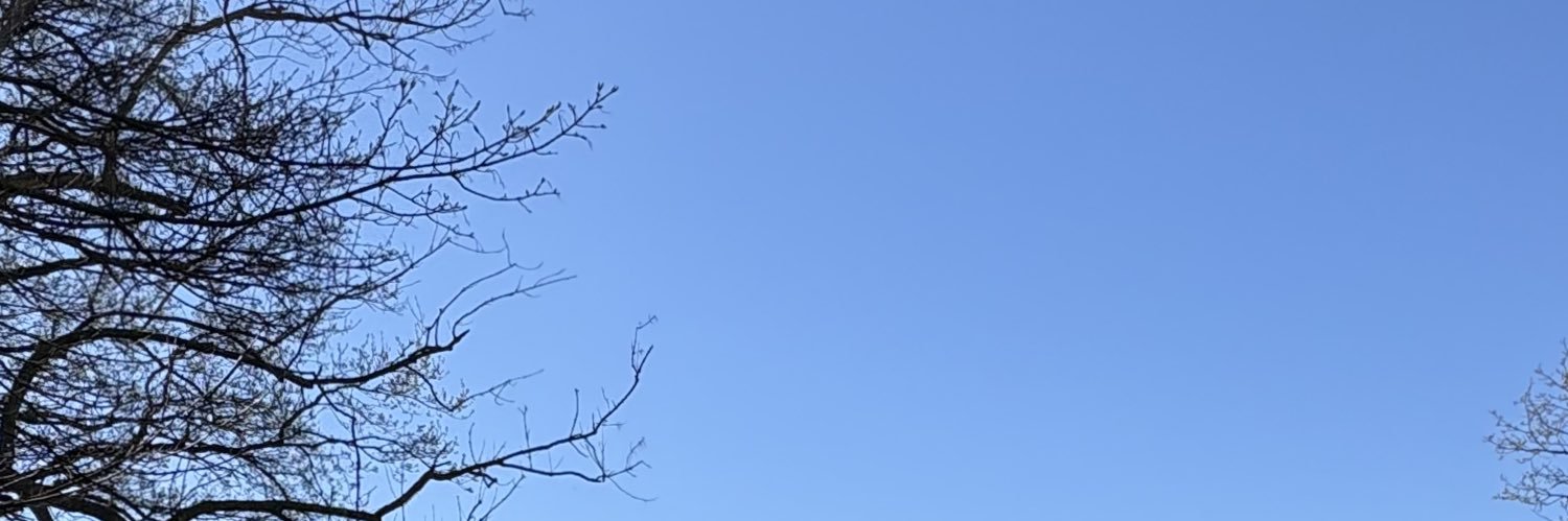 swanvart's profile banner image