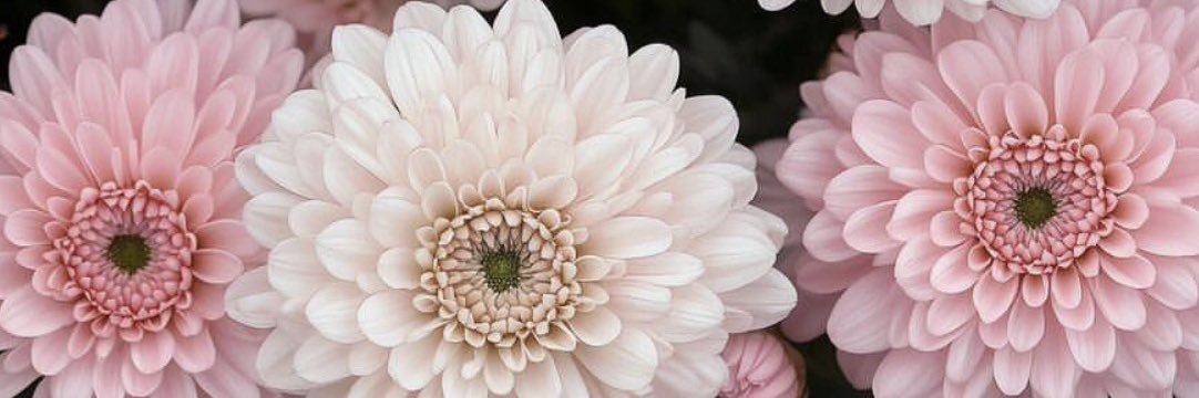FloorRayu's profile banner image