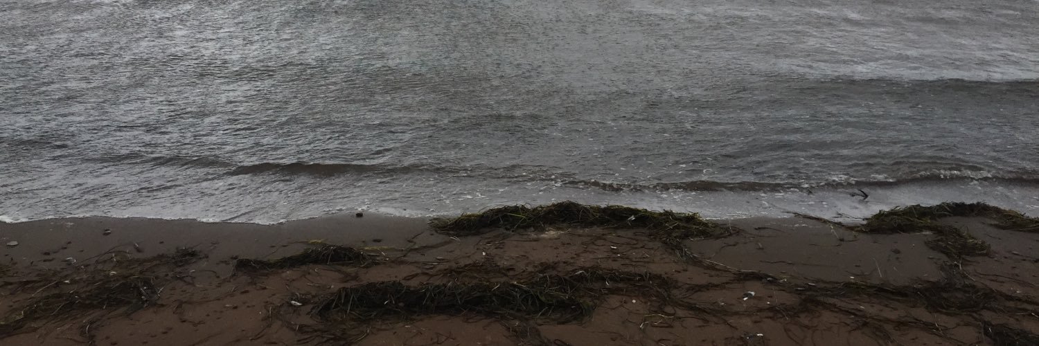 LGMackenzie's profile banner image