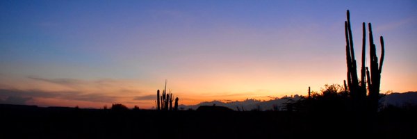 mvane14 Profile Banner