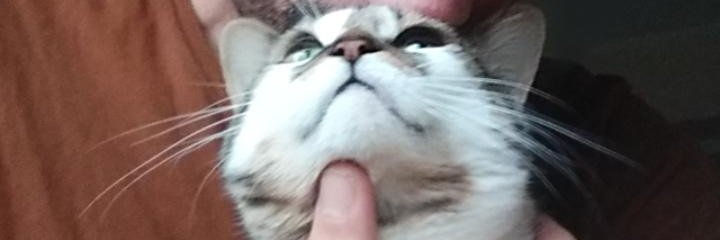 _dannrg's profile banner image