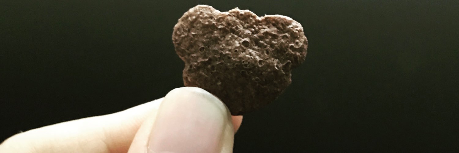 polyppoy_'s profile banner image
