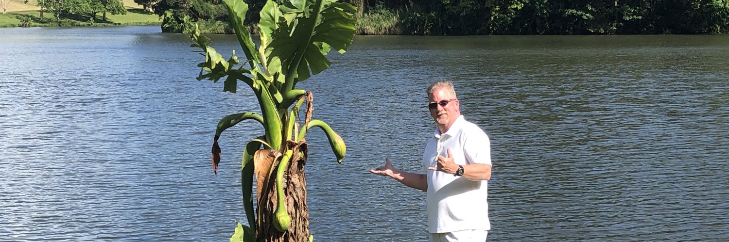 BobCratty's profile banner image