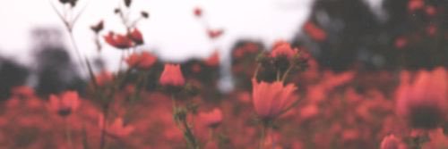 goldengomezz's profile banner image