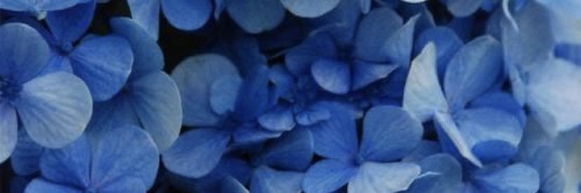 babylarri's profile banner image
