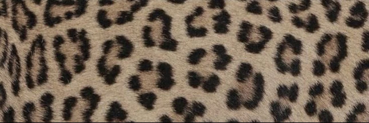 adaammaa's profile banner image