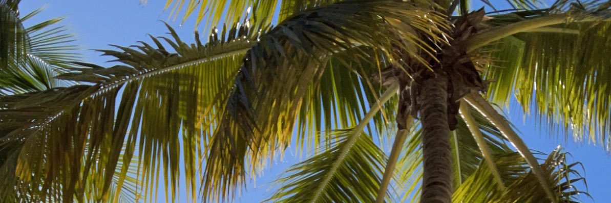 stephmireya's profile banner image